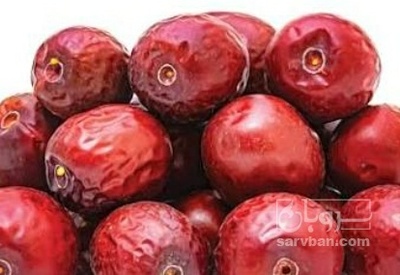 فروش عناب