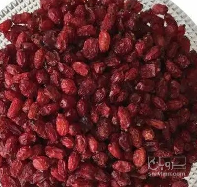 فروش زرشک