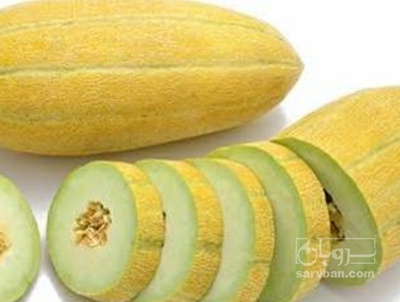 فروش خربزه مشهدی