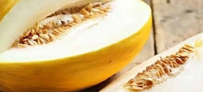 فروش خربزه شیرازی