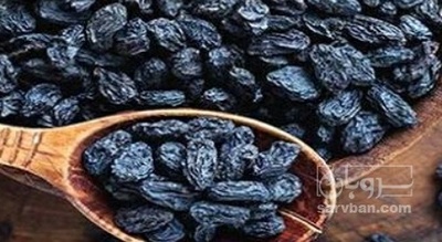 فروش مویز