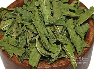 فروش نعناع خشک (گیاه‌ دارویی)