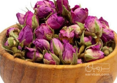 فروش غنچه گل محمدی (گیاه‌ دارویی)