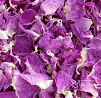 فروش گل محمدی (گیاه‌ دارویی)