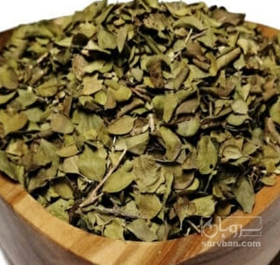 فروش آویشن خشک (گیاه‌ دارویی)