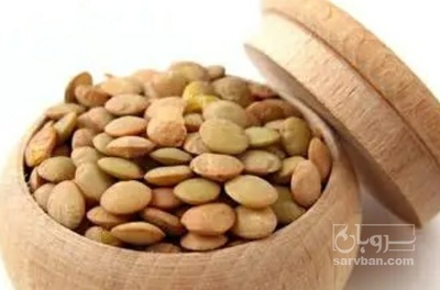 فروش عدس