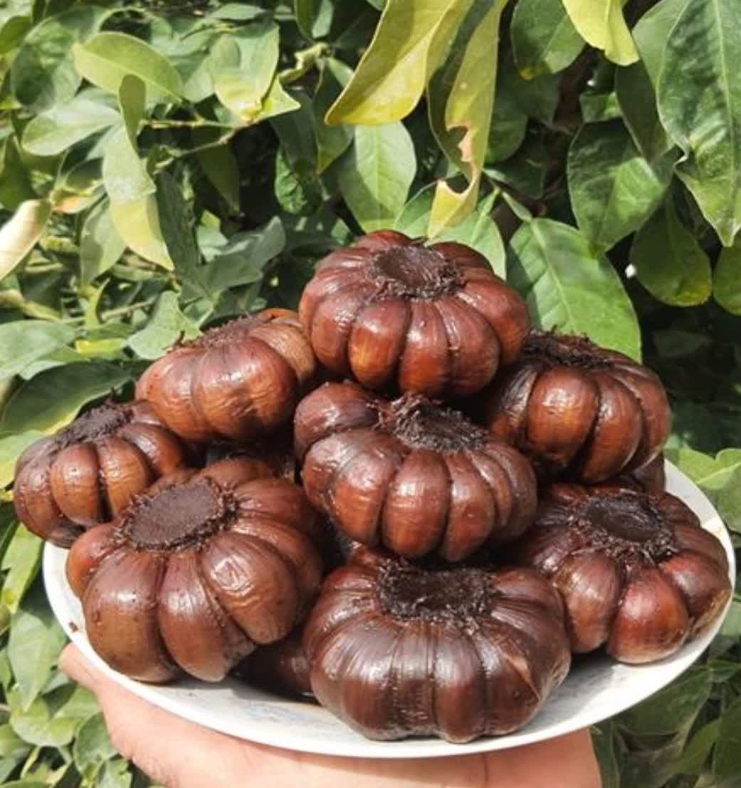 فروش سیر ترشی