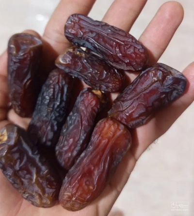 فروش خرما