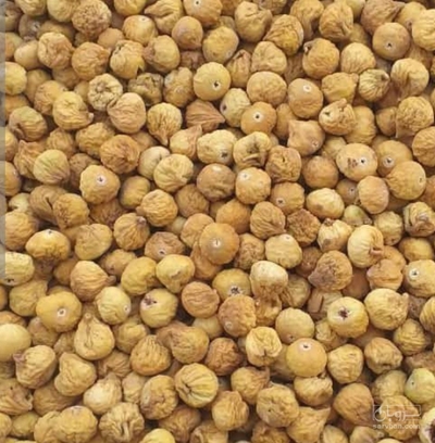 فروش انجیر