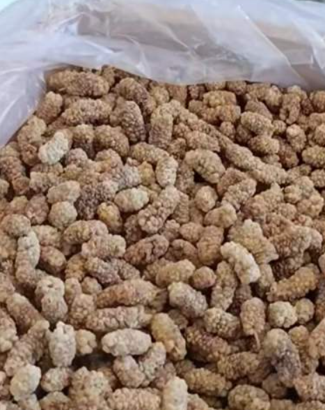 فروش توت خشک