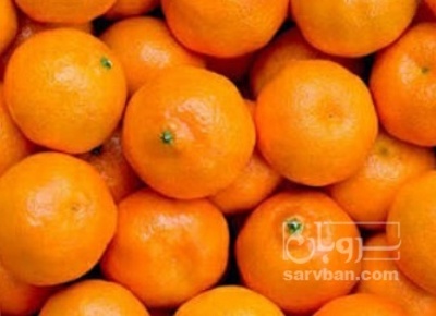 فروش نارنگی