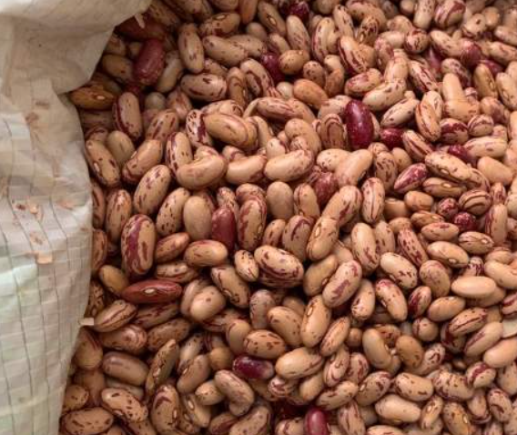 فروش لوبیا چیتی