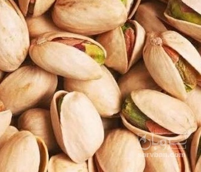 فروش پسته اکبری