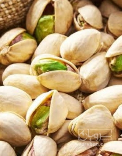 فروش پسته کله قوچی