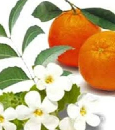 فروش عرق بهارنارنج