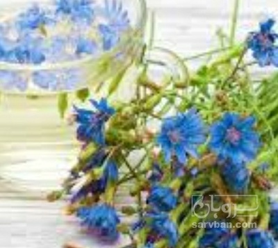 فروش عرق کاسنی