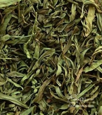 فروش مرزه (گیاه‌ دارویی)