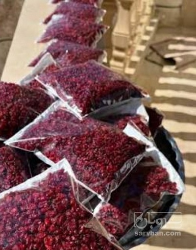 فروش زرشک