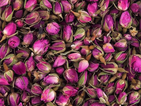 فروش غنچه گل محمدی (گیاه‌ دارویی)