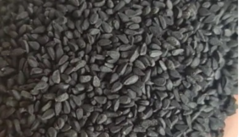 فروش سیاهدانه (گیاه‌ دارویی)