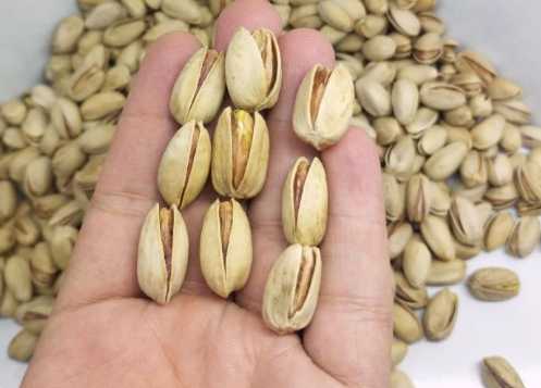 فروش پسته