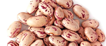 فروش لوبیا چیتی