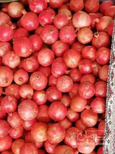 فروش انار