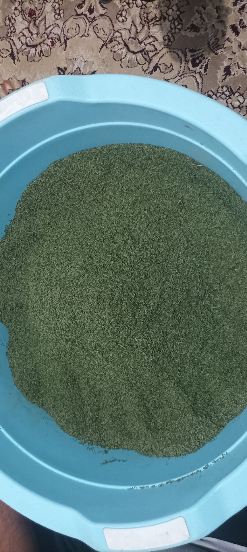 فروش نعناع خشک (گیاه‌ دارویی)