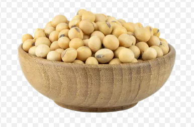 فروش سویا