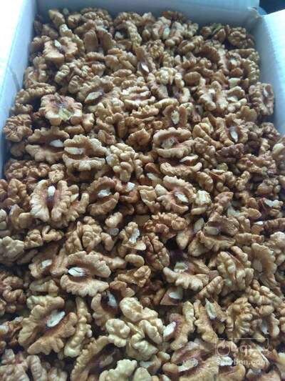 فروش گردو