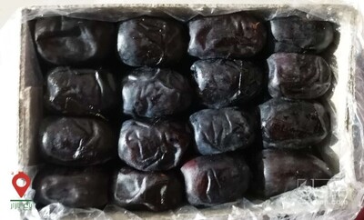 فروش خرما