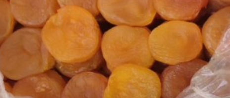 فروش برگه قیسی