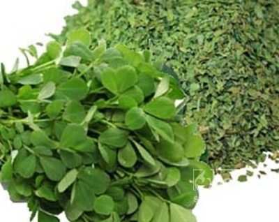 فروش شنبلیله (گیاه‌ دارویی)