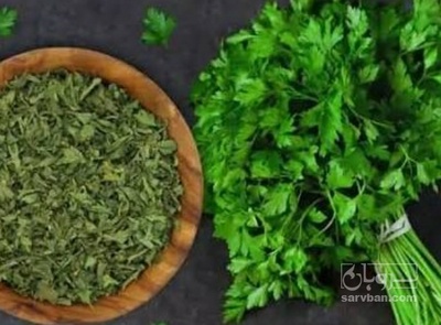 فروش گشنیز خشک