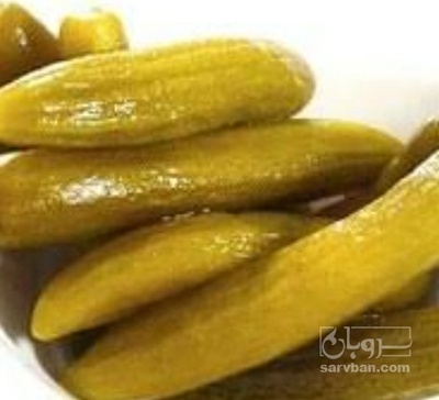 فروش خیار شور ممتاز