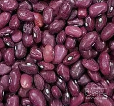 فروش لوبیا قرمز