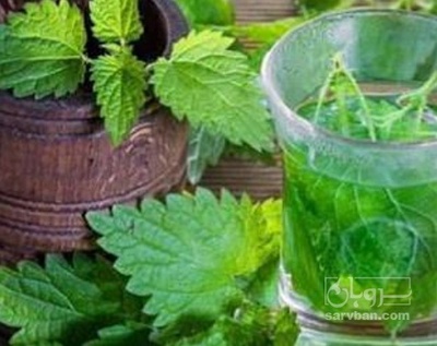 فروش عرق گزنه