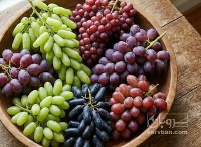 فروش انگور