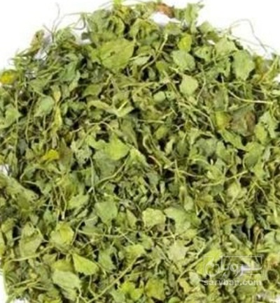فروش نعناع خشک (گیاه‌ دارویی)