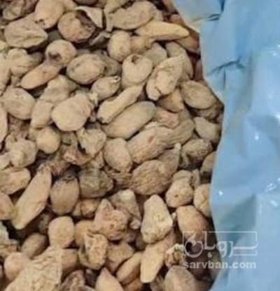 فروش ثعلب قلوه ایی