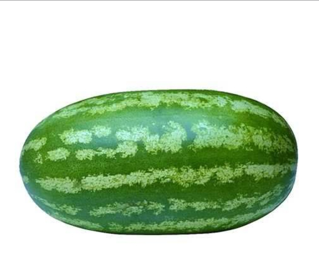فروش هندوانه