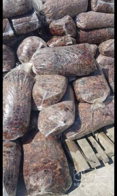 فروش خرما ضایعاتی