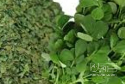 فروش شنبلیله (گیاه‌ دارویی)