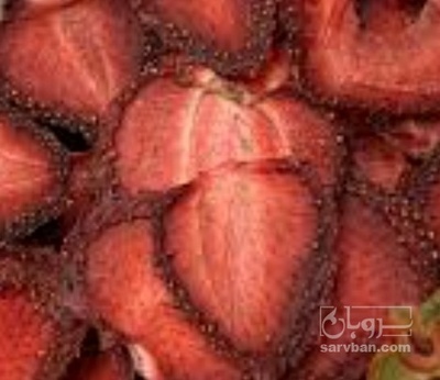 فروش توت فرنگی خشک