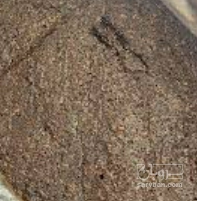 فروش خمیر کشمش