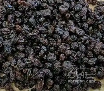فروش مویز