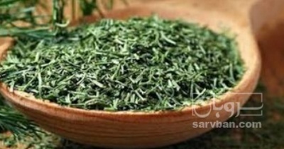 فروش شوید خشک (گیاه‌ دارویی)