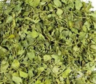 فروش شنبلیله (گیاه‌ دارویی)
