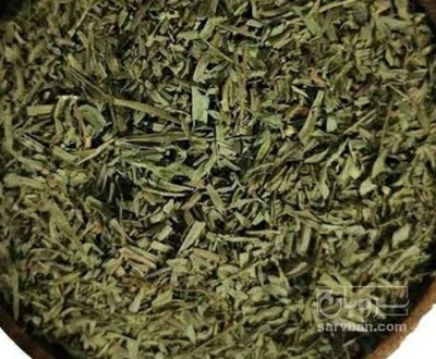 فروش ترخون (گیاه‌ دارویی)