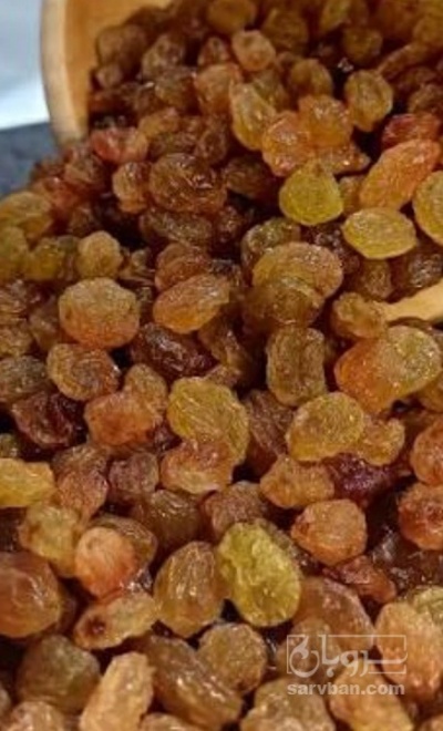 فروش کشمش